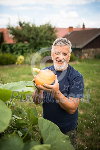 Gardener holding a pumkin in his hands - freshly harvested organic food from his permaculture garden