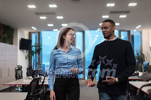 Two happy diverse professional executive business team people woman and African American man walking in a coworking office. Multicultural company managers team portrait. High-quality photo