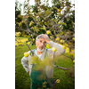 Senior gardenr gardening in his permaculture garden - not happy with the fruit of his labour