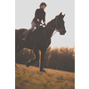 Female horse rider riding outdoors on her lovely horse