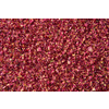 Beautiful pink dried rose petals used as background, full frame. Creative backdrop for spa website.
