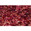 Natural aromatic rose petals used as background with soft focus, close up, horizontal backdrop. Romantic backdrop with dried flowers.