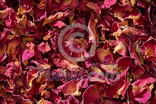 Close up of natural dried pink rose petals, full frame. Creative backdrop with floral theme.