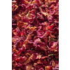 Natural pink colored dried rose petals, close up, vertical backdrop. Creative backdrop for spa and beauty salon.