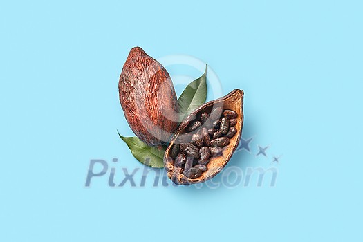 Top view of whole and halved cocoa pods with heap of aromatic raw beans of Theobroma cacao tree on blue background Top view of whole and halved cocoa pods with heap of aromatic raw beans of Theobroma cacao tree on blue background