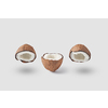 Set of natural coconut in halves with fresh ripe pulp and dry brown shell composed in row on white background casting shadows