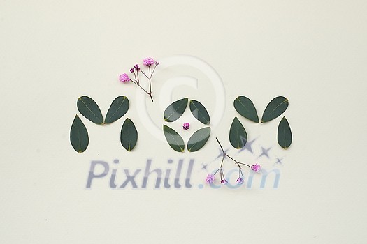 Top view of delicate purple flowers and green leaves placed on white background in shape of the word MOM