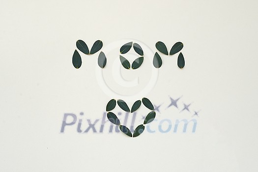 Word mom Top view of fresh green leaves placed on white background