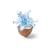 Concept of organic and healthy coconut milk. Half of raw unpeeled organic coconut with flower like splash of blue colored liquid isolated on white background.