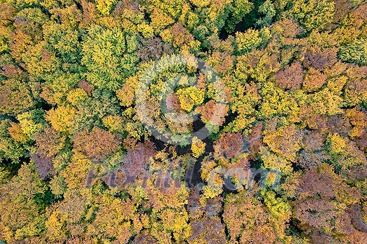 Beautiful view from drone over forest in autumn season. Colorful fall leaves on trees. Natural wallpaper and backdrop. Beautiful view from drone over forest in autumn season. Colorful fall leaves on trees. Natural wallpaper and backdrop.