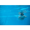 Male swimmer swimming in an outdoor pool - keeping fit