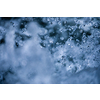Water concept - river water flowing with light reflecting of its surface - long exposure shot