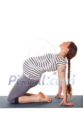 Pregnancy yoga exercise - pregnant woman doing yoga asana Ustrasana Camel Pose isolated on white background Pregnancy yoga exercise - pregnant woman doing yoga asana Ustrasana Camel Pose isolated on white background