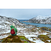 Woman tourist traveler enjoying a view of fjord in winter. Lofoten islands, Norway