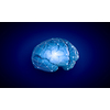 Concept of human intelligence with human brain on blue background