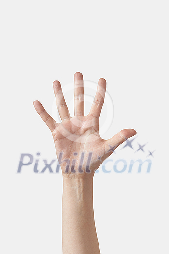 Numeric count on fingers, male hand in vertical position with 5, five, fifth finger sticking out isolated on white background. Counting fingers concept. Numeric count on fingers, male hand in vertical position with 5, five, fifth finger sticking out isolated on white background. Counting fingers concept.