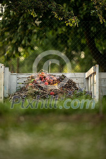 Food waste in compost pit on private garden. Rotting organic waste for compost. Outdoor. Food waste in compost pit on private garden. Rotting organic waste for compost. Outdoor.