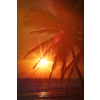 Beach resort vacation holidays background - tropical ocean sunset scene with palms. Copyspace