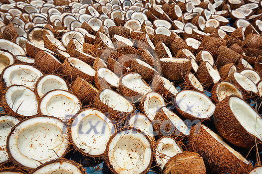 Drying coconuts in street, Kerala, South India
