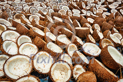 Drying coconuts in street, Kerala, South India Drying coconuts in street, Kerala, South India