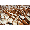 Drying coconuts in street, Kerala, South India