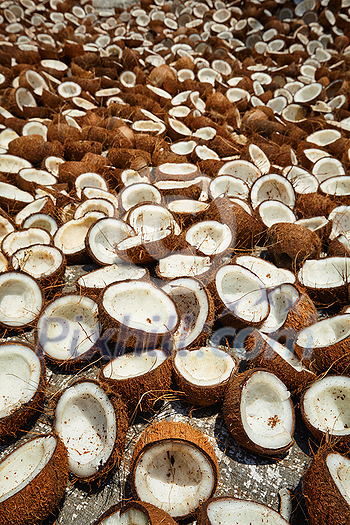 Drying coconuts in street, Kerala, South India Drying coconuts in street, Kerala, South India