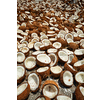 Drying coconuts in street, Kerala, South India