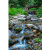 Small waterfall on mountain stream with small bridge. Jibi, Himachal Pradesh