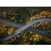 Winding road in autumn forest at sunset in mountains. Aerial view. Top view of beautiful asphalt roadway and orange trees. Highway through the woodland in fall. Trip in europe. Travel and nature