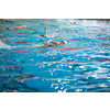 Swimmers in an indoor swimming pool - doing crawl (shallow DOF)