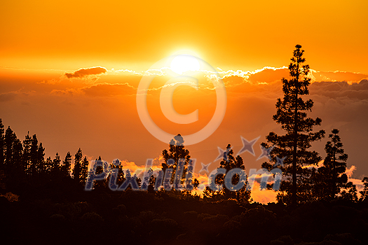 Peaks of Teide and Pico Viejo volcanoes at sunset seen from the Samara crater. Teide National Park, Tenerife, Canary Islands, Spain