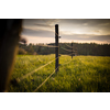 Electric fence around a pasture with animals grazing on fresh pasture grass