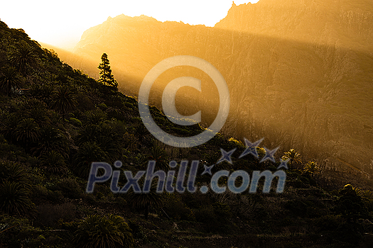 Early morning in Masca valley, Tenerife, Spain - High  Repolution Panoramic Image