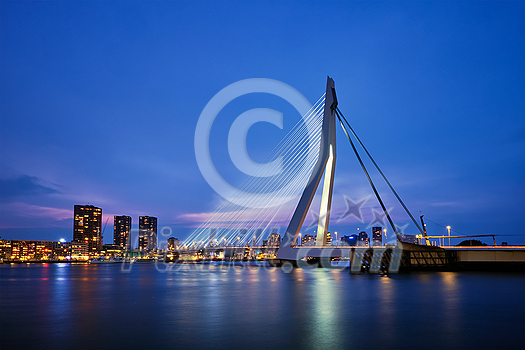 Erasmus Bridge (Erasmusbrug) and Rotterdam skyline illuminated at night. Rotterdam, Netherlands