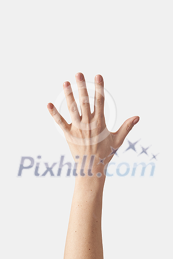 Numeric count on fingers, female outer hand with wrist in vertical position with 5, five, fifth isolated on white background. Counting on fingers set. Numeric count on fingers, female outer hand with wrist in vertical position with 5, five, fifth isolated on white background. Counting on fingers set.
