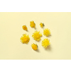 Beautiful dandelions on yellow background. Original web design with spring flowers.