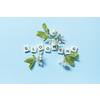 Blooming word formed of scrabble tiles with spring blossom on blue background.