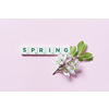Spring word formed of scrabble tiles with fresh tree flowers on pink background. Original calendar template design.