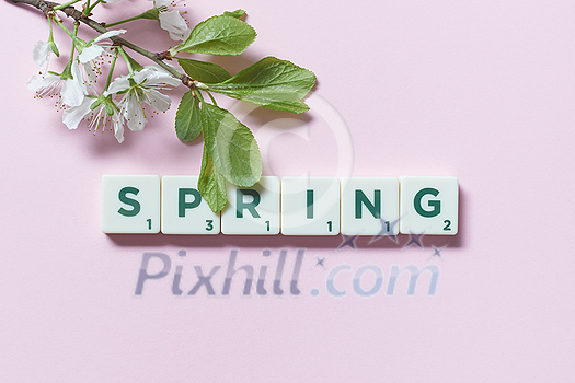 Spring word formed of scrabble tiles with fresh tree blossom on pink background. Creative seasonal template design in pastel colors.