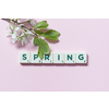 Spring word formed of scrabble tiles with fresh tree blossom on pink background. Creative seasonal template design in pastel colors.