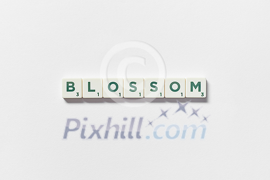 Blossom word formed of scrabble tiles on white background. Original web design with floral motif. Blossom word formed of scrabble tiles on white background. Original web design with floral motif.
