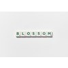 Blossom word formed of scrabble tiles on white background. Original web design with floral motif.