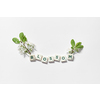 Blossom word formed of scrabble tiles with spring flower on white background.