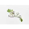 Blossom word formed of scrabble letters with spring bloom on white background.