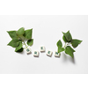 Green word formed of scrabble tiles with fresh tree branches on white background. Green energy and ecology concept with spring mood.