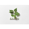 Green word formed of scrabble tiles with tree leaves on white background. Nature and renewable energy concept.