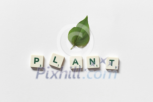 Plant word formed of scrabble tiles with green tree leaf on white background. Nature and renewable energy concept.