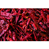 Dried dry red spicy chili peppers pile at asian market close up texture background. Sardar Market, Jodhpur, Rajasthan, India