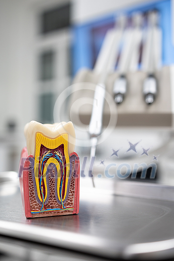 Dental treatment clinic interior with a model of a tooth