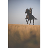 Female horse rider riding outdoors on her lovely horse